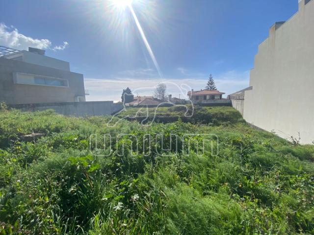 Lote Areosa