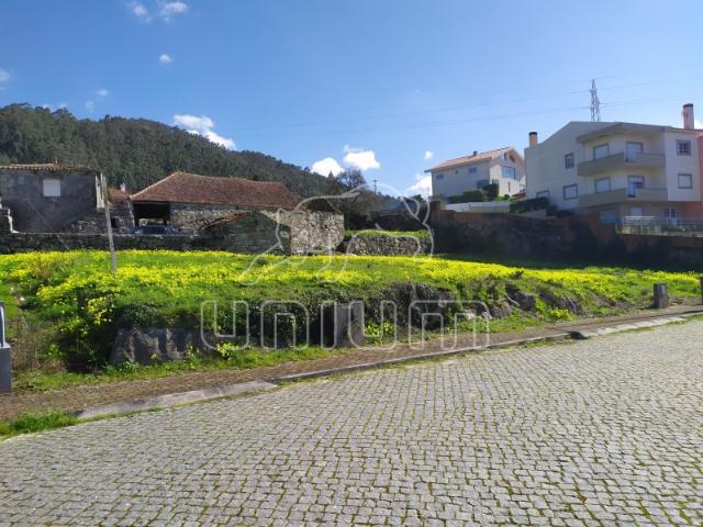 Lote Areosa, Viana do Castelo