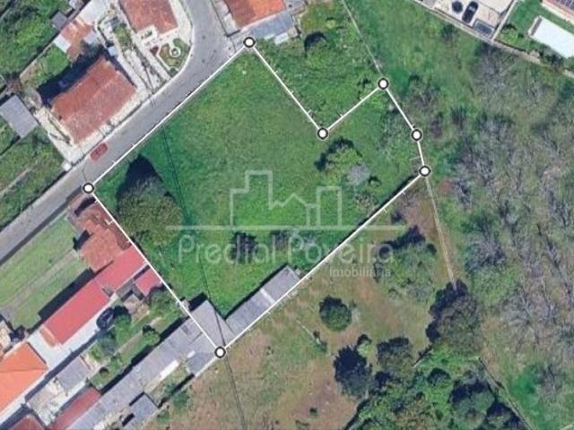 Lote Beiriz