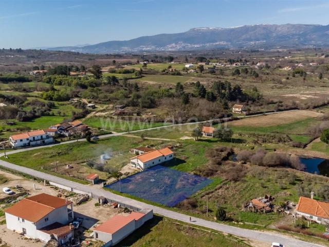 Lote / Belmonte, Caria