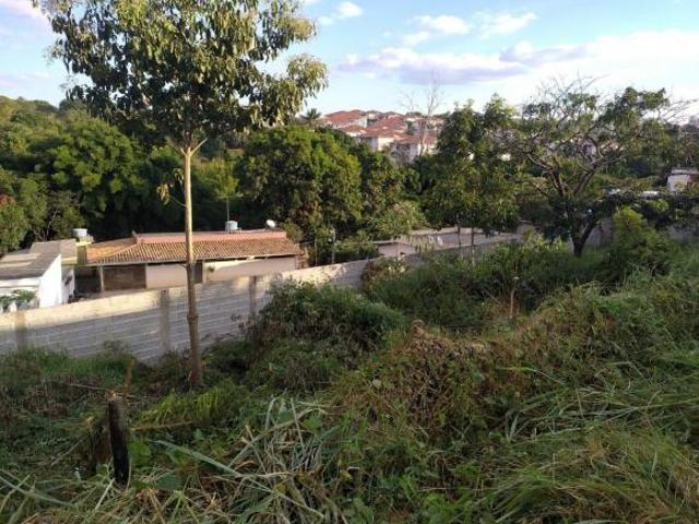 Lote BELVEDERE