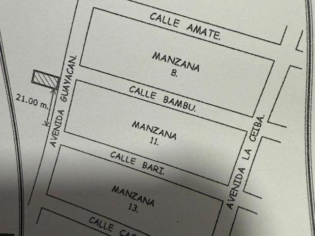 lote brisas del carrizal