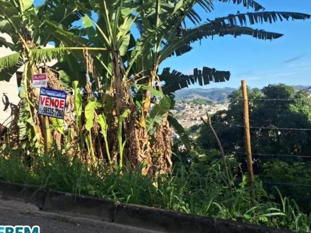 Lote, Caçula, Ipatinga, MG