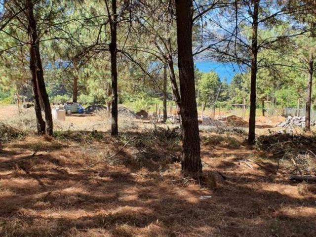 Lote campestre de 1,000m2 en Agua Verde, Zirahuén