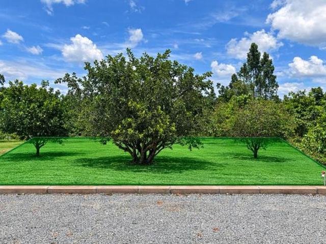 Lote Colônia Agrícola 26 de setembro