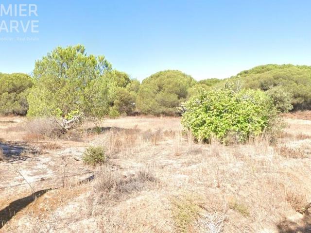 Lote com 577m2 na zona das Gambelas para moradia independente