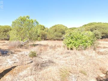 Lote com 577m2 na zona das Gambelas para moradia independente