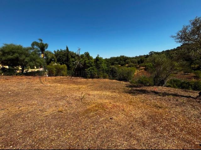 Lote com projecto em São Brás