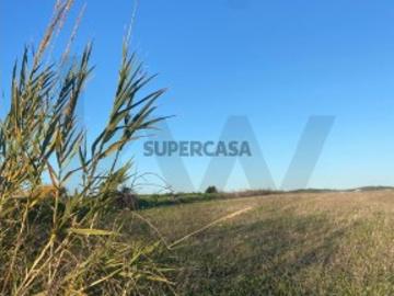 Lote com Projeto Aprovado: A sua Moradia T4 em Casalinhos de Alfaiata