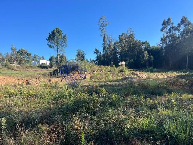 Lote com projeto aprovado com 2866m2