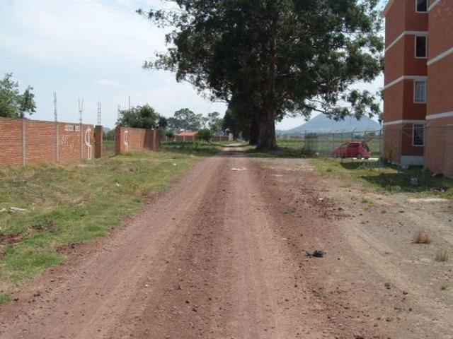 Lote Conjunto bardado. Por pollos Luigi