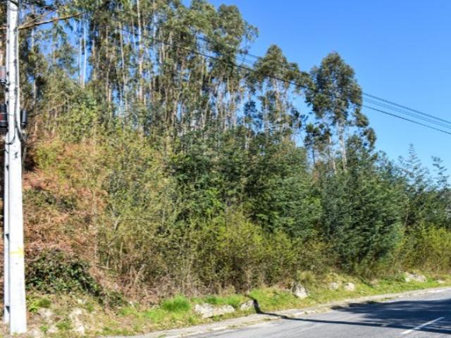 Lote Construção Vieira do Minho
