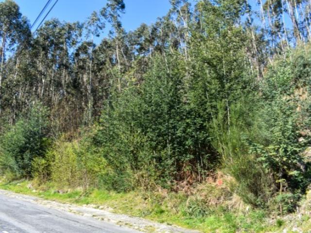 Lote Construção Vieira do Minho