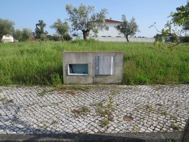Lote construção de Moradia em Freixianda