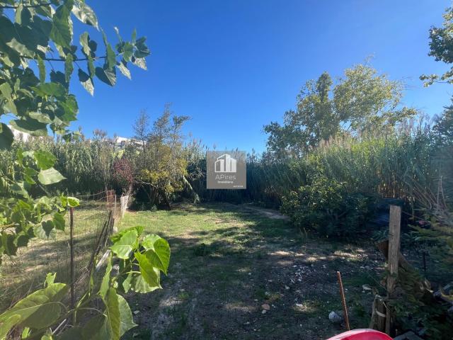 LOTE CONSTRUÇÃO MORADIA T3 PISCINA + GARAGEM