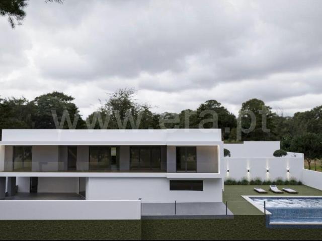 Lote / Covilhã, Cantar Galo