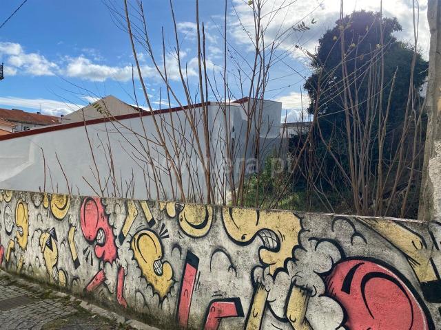 Lote / Covilhã, Covilhã