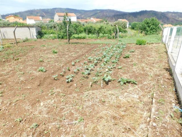Lote / Covilhã, Paul