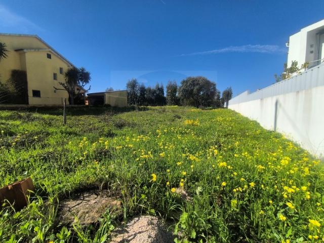 Lote de Moradia Para Venda Abrantes