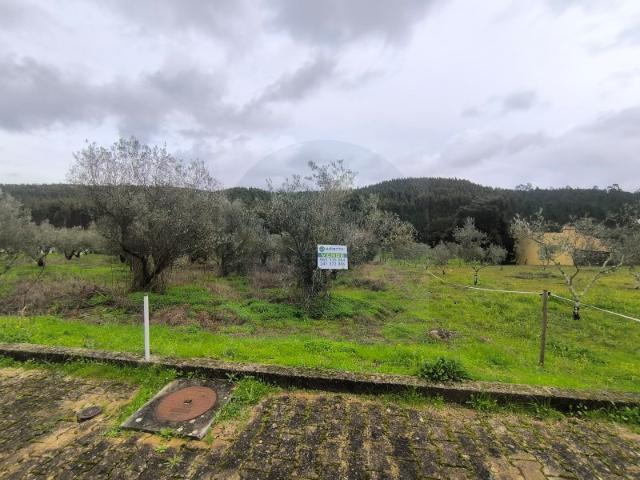 Lote de Moradia Para Venda Paul Abrantes