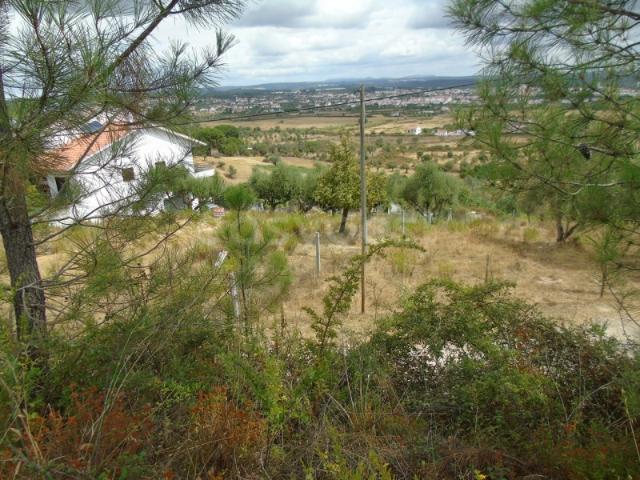 Lote de Moradia para construção em São Lourenço Abrantes