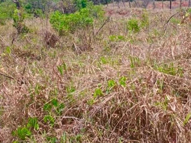 Lote de chácara à venda no Paiolzinho