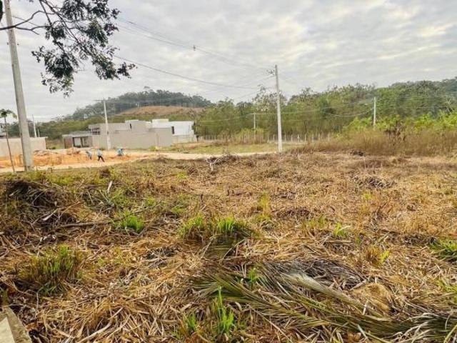 Lote de esquina 366 m2 Vila Ipanema COD 1050