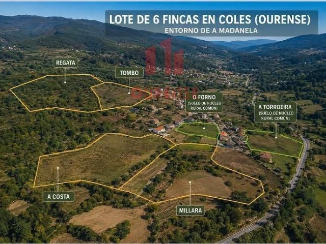 LOTE DE SEIS FINCAS EN EL ENTORNO DE MADANELA COLES