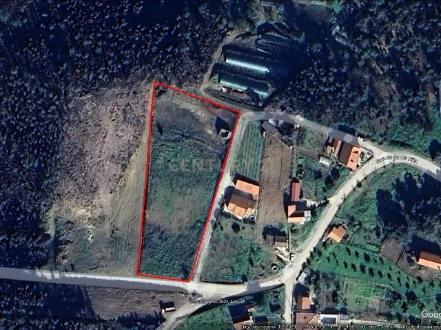 lote de Terreno 5000m2 Sertã Vale dianteiro