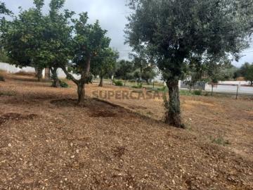 LOTE DE TERRENO
