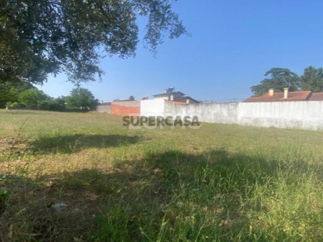 Lote de terreno