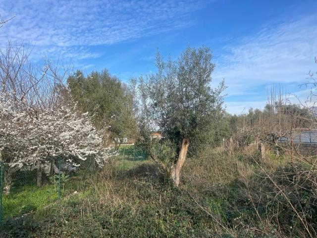 Lote de terreno c/ projeto aprovado, em Vitorino das Donas