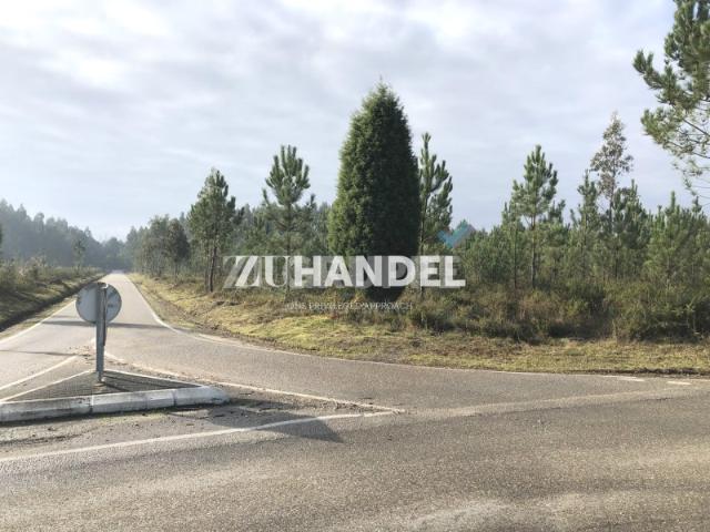 Lote de terreno com cerca de 26.000 m2 inserido em espaço para Atividades Económicas em Anadia
