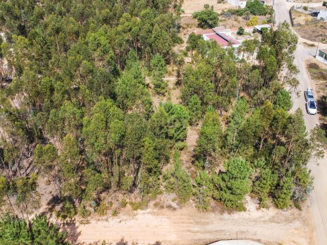 Lote de Terreno com Elevado Potencial de Construção – Herdade do Pinhal das Formas, Quinta do Anjo