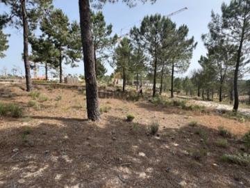 Lote de terreno com projecto aprovado, de arquitetura contemporânea térrea, no Carvalhal, Comporta