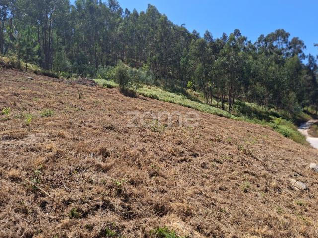 Lote de Terreno com Projeto Aprovado