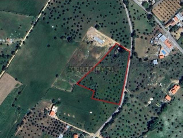 Lote de Terreno com Ruína | Montemor o Novo