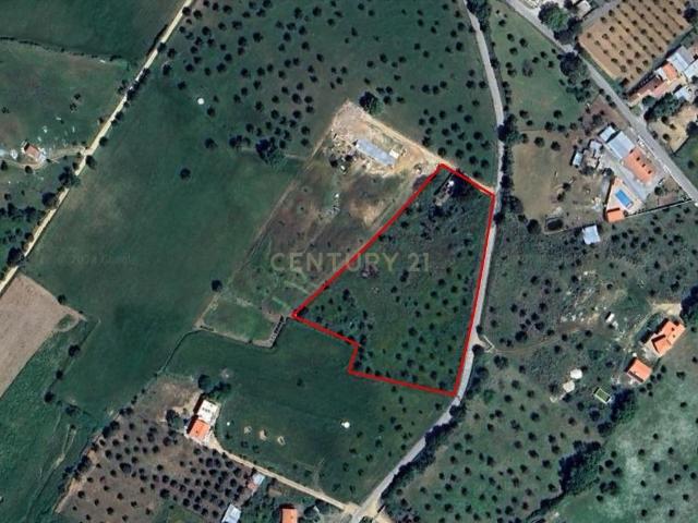 Lote de Terreno com Ruína | Montemor o Novo