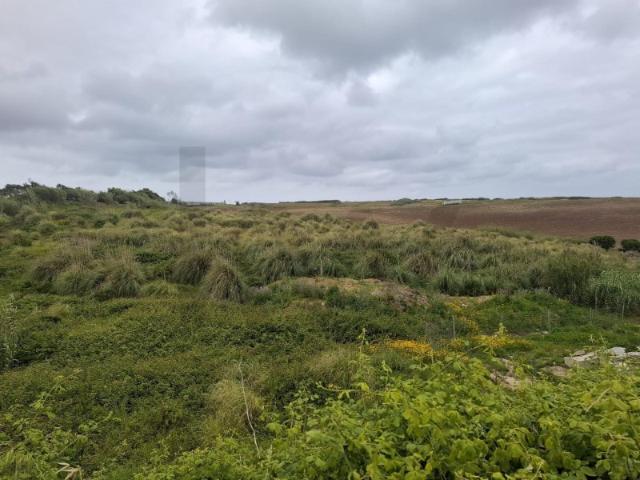 Lote Urbano com 344 m² no Barril | O Equilíbrio Perfeito Entre o Campo e o Mar