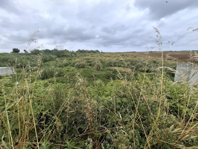 Lote Urbano com 344 m² no Barril | O Equilíbrio Perfeito Entre o Campo e o Mar