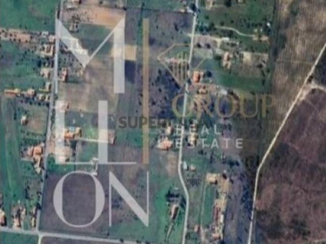 Lote de terreno com 5000m2 em Benavente