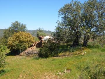 Santa Catarina da Fonte do Bispo, Concelho de Tavira, Distrito de Faro, Algarve