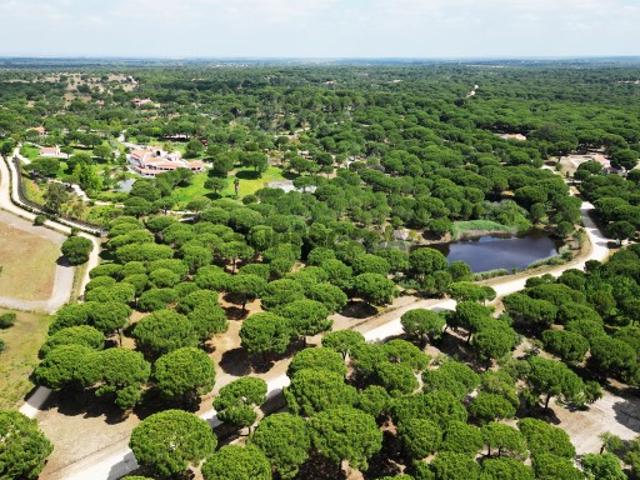 Lote de Terreno de 33.300m2, com lagoa, na Mata do Duque 1, Santo Estevão
