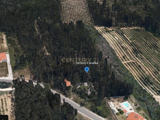 Terreno Rústico de 33.550 m2 em Caldas da Rainha com vista campestre