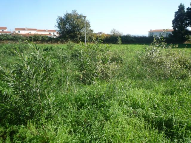Lote de Terreno em Albergaria a Velha