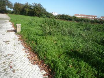Lote de Terreno em Albergaria a Velha