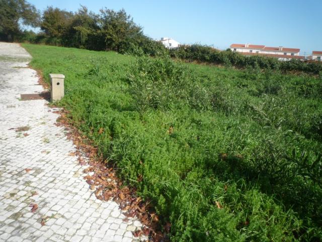 Lote de Terreno em Albergaria a Velha