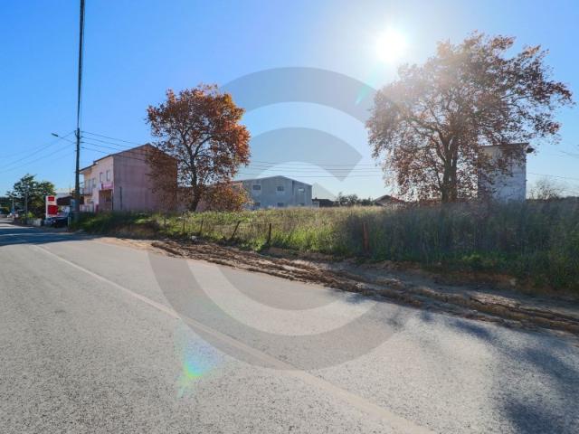 Lote de terreno em Alcanena IMÓVEL COM BAIXA DE PREÇO