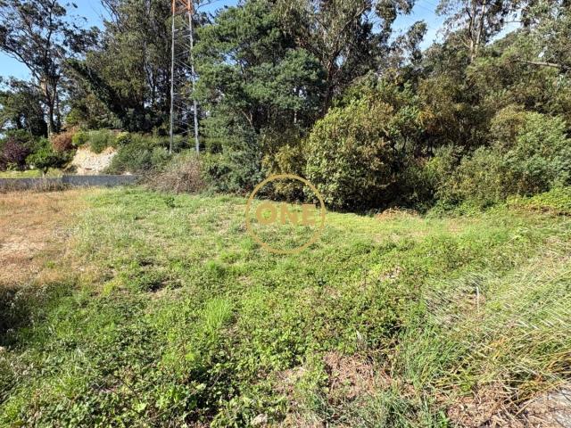Lote de Terreno em Apúlia e Fão, Esposende