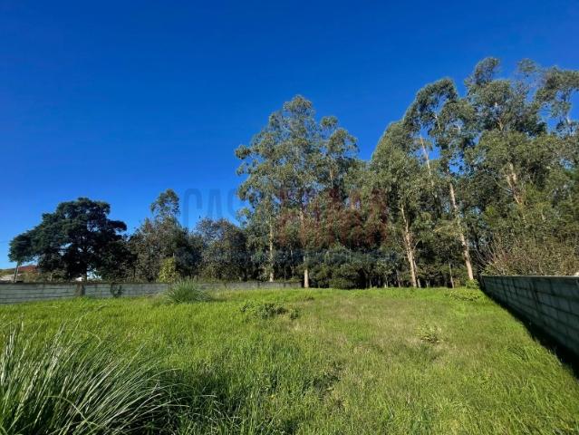 Lote de Terreno em Laúndos exclusivo